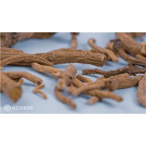 板蓝根提取物，纯天然中药材提取