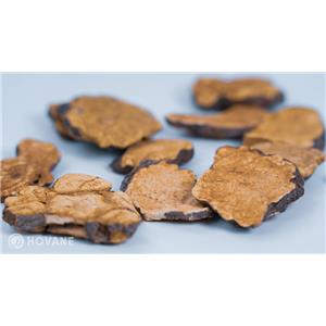 何首乌提取物 - 纯天然药材提取