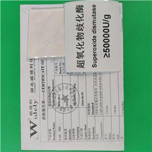 超氧化物歧化酶 5万酶活力到150万酶活 SOD 9054-89-1 威德利 可定制