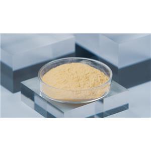 水溶性何首乌提取物 - 90%