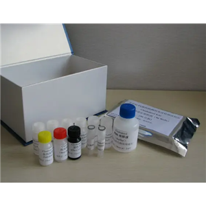 人腺病毒B35型探针法荧光定量PCR试剂盒Human Adenovirus B35（HAdV-B35）