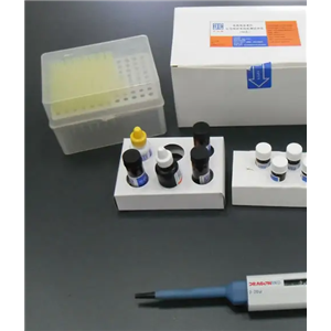 小鼠蓝耳病抗体(PRRS-Ab)Elisa试剂盒