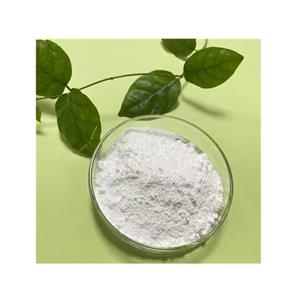 索马鲁肽 910463-68-2