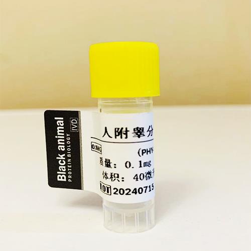 人附睾分泌蛋白(HE4).jpg 人附睾分泌蛋白(HE4).jpg