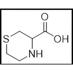 3-硫代吗啉羧酸