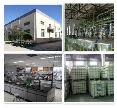 微信截图_20241217090705.png 微信截图_20241217090705.png