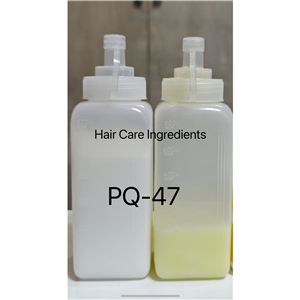 聚季铵盐-47