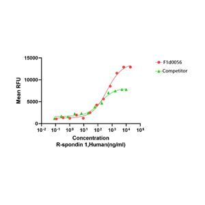 Recombinant Human R-Spondin1重组人R-Spondin1蛋白