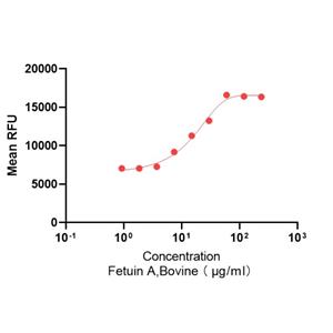 ?Recombinant Bovine Fetuin A 重组牛胎球蛋白A