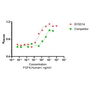 Recombinant Human FGF-4重组人成纤维细胞生长因子4