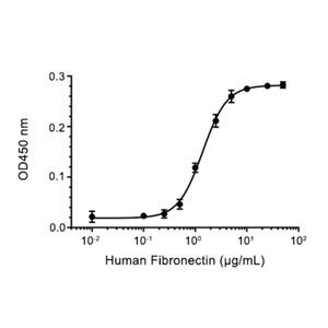 Recombinant Human Fibronectin重组人纤连蛋白
