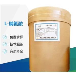 河北华阳食品级脯氨酸氨基酸生产厂家营养增补剂增味剂厂家直发