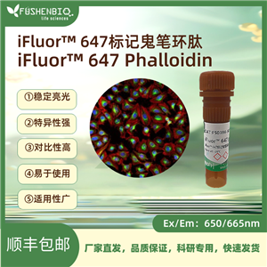 iFluor 647标记鬼笔环肽