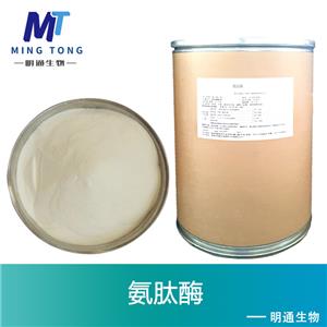 氨肽酶厂家