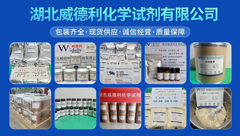 湖北威德利 推广图 陈明 202504 (1).jpg