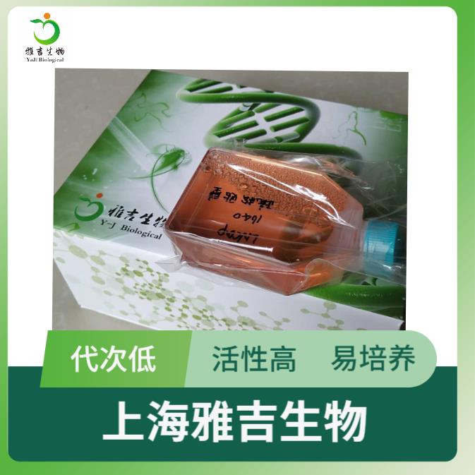 QQ图片20250626113118.png QQ图片20250626113118.png