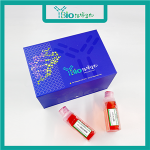 TK10（人肾癌细胞）YB-75966HC