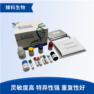 新霉素ELISA检测试剂盒