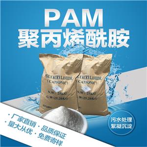 山西大同食品厂污水处理用聚丙烯酰胺 絮凝净水效果好 嵩阳净水厂家直供