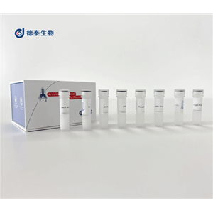 兔单B细胞扩增试剂盒