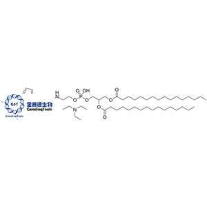 217075-07-5 | Phospholipid Fluorescent Probe;BODIPY FL-DHPE 磷脂荧光探针