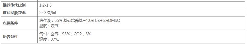 image 2020121101293501838