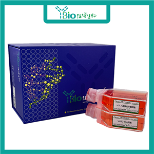 CX-1（人结肠癌细胞）YB-71670HC