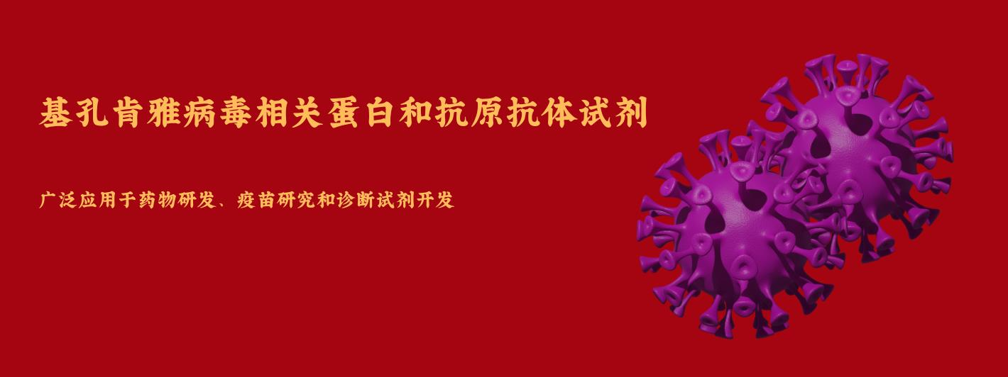 基孔肯雅病毒抗原和抗体试剂.png 基孔肯雅病毒抗原和抗体试剂.png