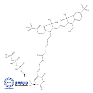 NA | Cy3-dCTP/CY3-DCTP/cy3-dctp