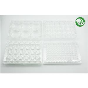 百千生物24孔氨基化包被培养板定制