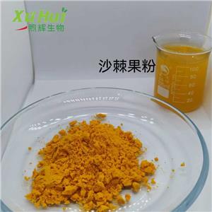 沙棘提取物  沙棘籽