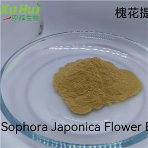 槲皮素 二氢槲皮素 芦丁