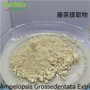 二氢杨梅素 藤茶粉