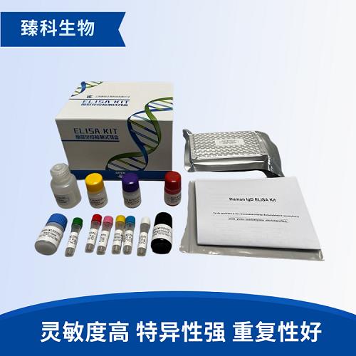 E15 (1).png E15 (1).png