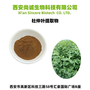 杜仲叶提取物 绿原酸 尚诚生物