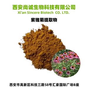 紫锥菊提取物 尚诚生物