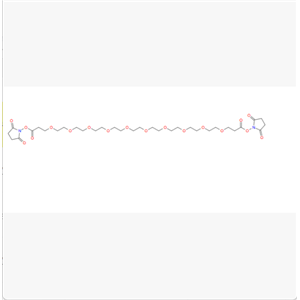 琥珀酰亚胺酯-十聚乙二醇-琥珀酰亚胺酯