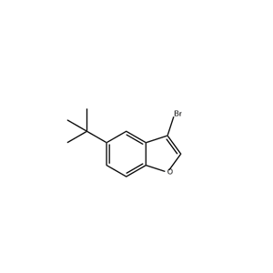 3-溴-5-叔丁基苯并呋喃