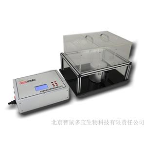 DB020型热刺痛仪