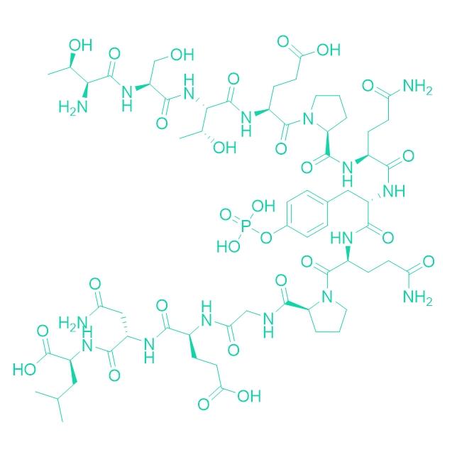 pp60 C-SRC Carboxy-Terminal Phosphoregulatory Peptide Phosphorylated 149299-77-4.png pp60 C-SRC Carboxy-Terminal Phosphoregulatory Peptide Phosphorylated 149299-77-4.png