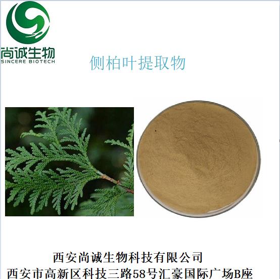 侧柏叶提取物成片.png