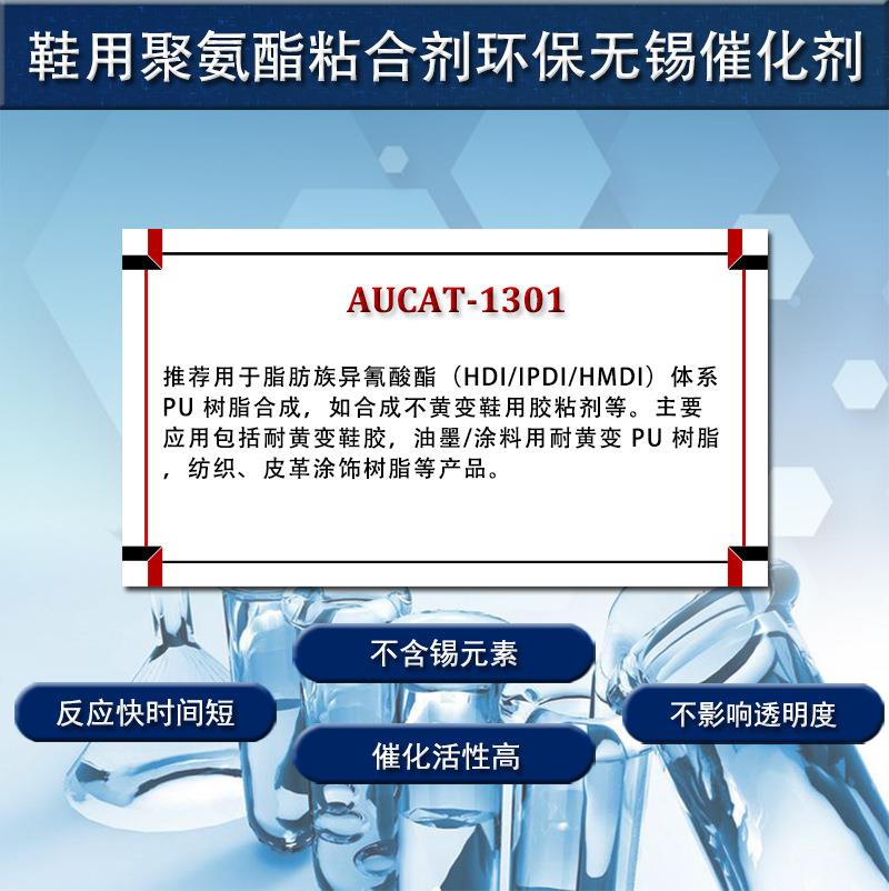 AUCAT-1301详1.jpg