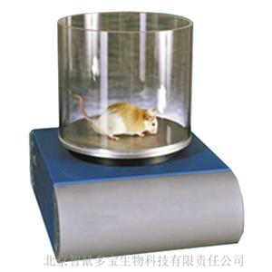 疼痛自动分析系统
