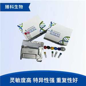 鱼胰岛素样生长因子1受体(IGF-1R）elisa试剂盒