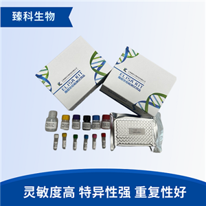 鱼胰岛素样生长因子1(IGF-1）elisa试剂盒