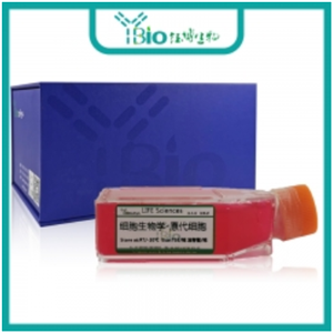 人肝实质细胞 YB-7039HPC