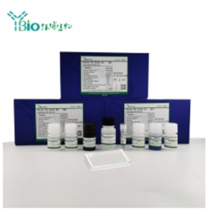 大鼠干细胞因子(SCF)ELISA试剂盒 YB-71496Ra