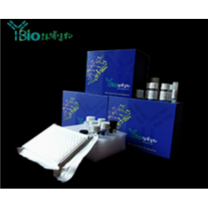 大鼠组织蛋白酶B(CTSB)ELISA试剂盒 YB-71497Ra