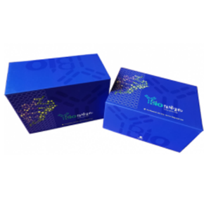 大鼠脱氢表雄酮硫酸酯(DHEA-S)ELISA试剂盒 YB-71498Ra