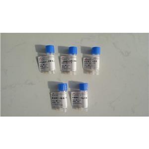 PCL-PEG-RGD;PCL-PEG-RGD